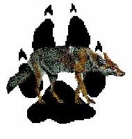 Clan Coyote